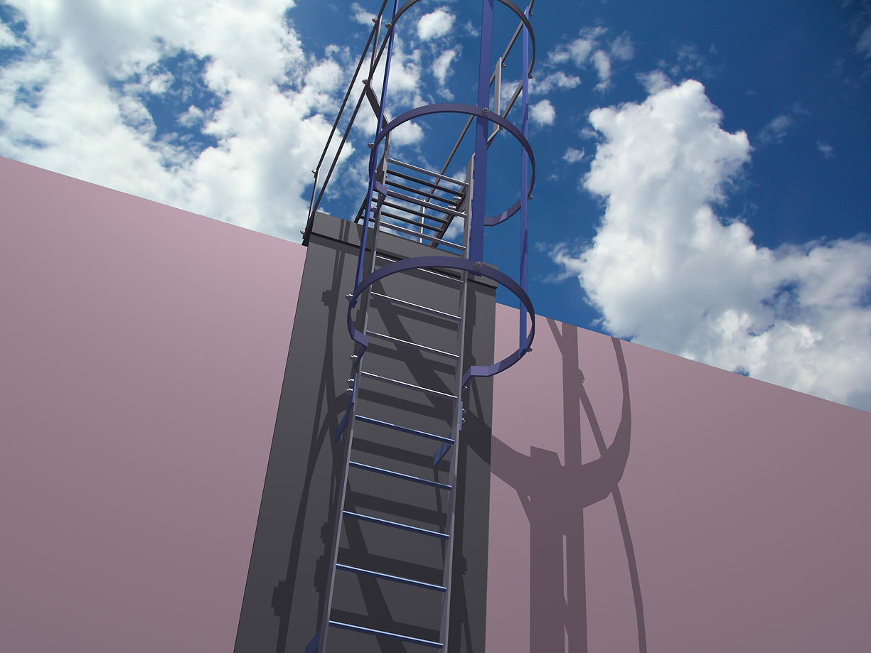 Glasgow Access Ladder