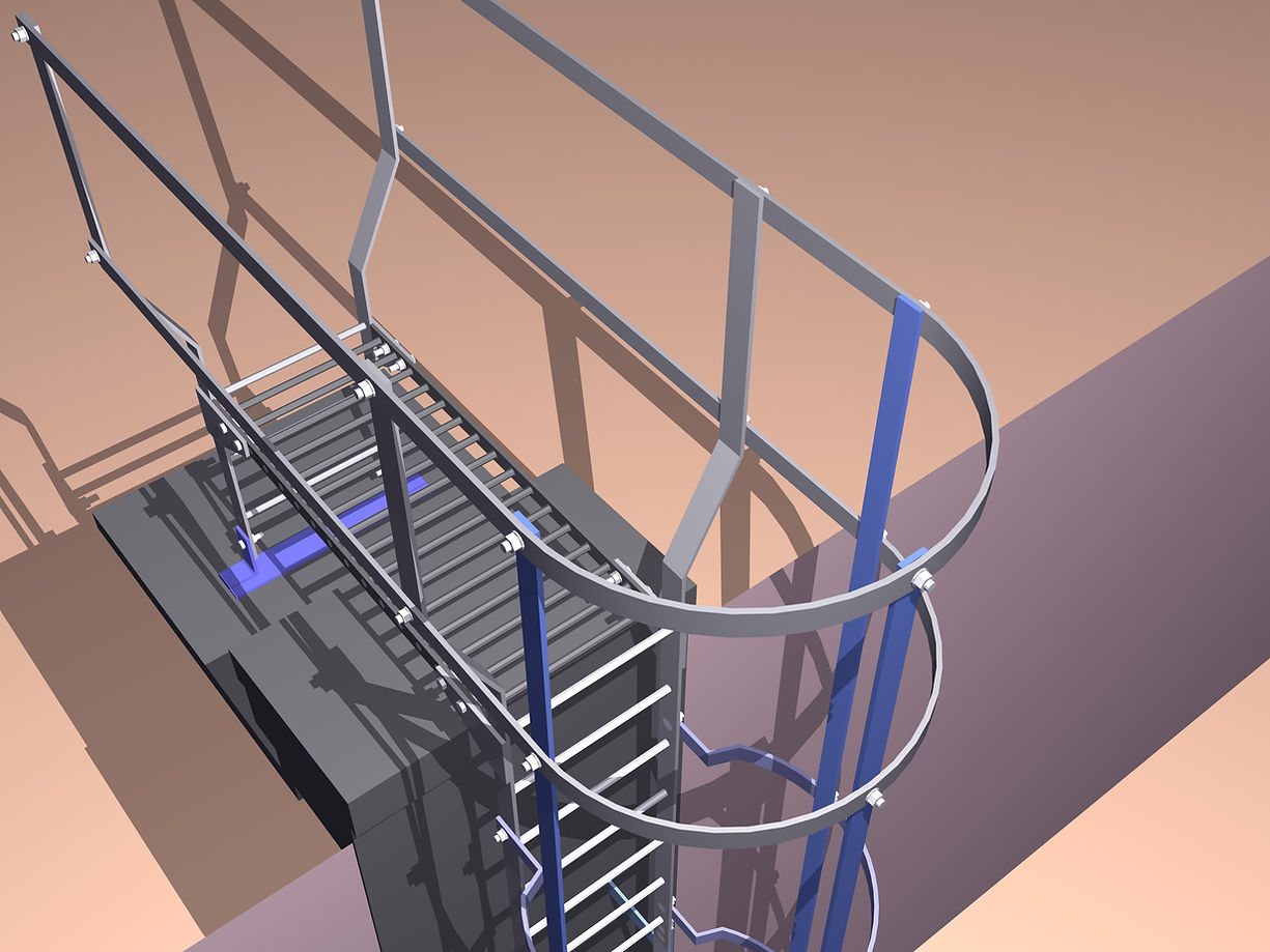 Glasgow Access Ladder
